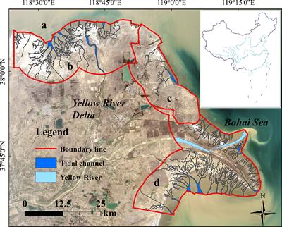 Longitudinal Dynamics of Hydrological Connectivity in the Yellow River Delta, China